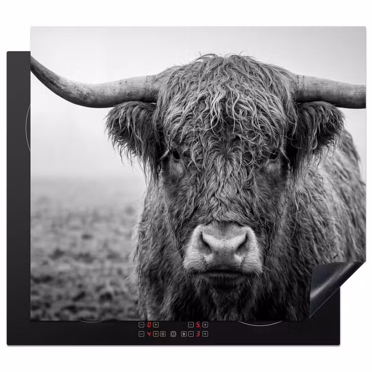 Inductie beschermer - Schotse hooglander - Zwart - Wit - Gras — 1