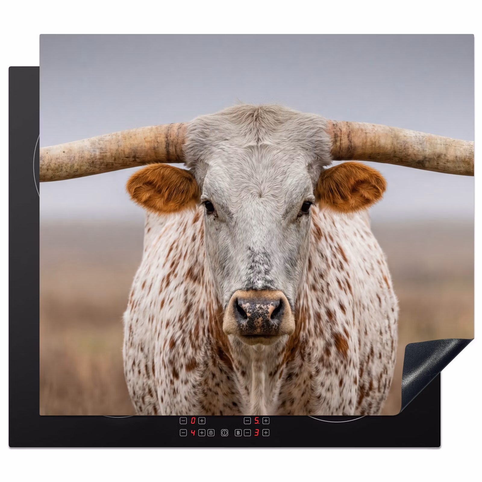 Inductie beschermer - Longhorn - Grasveld - Dier — 1