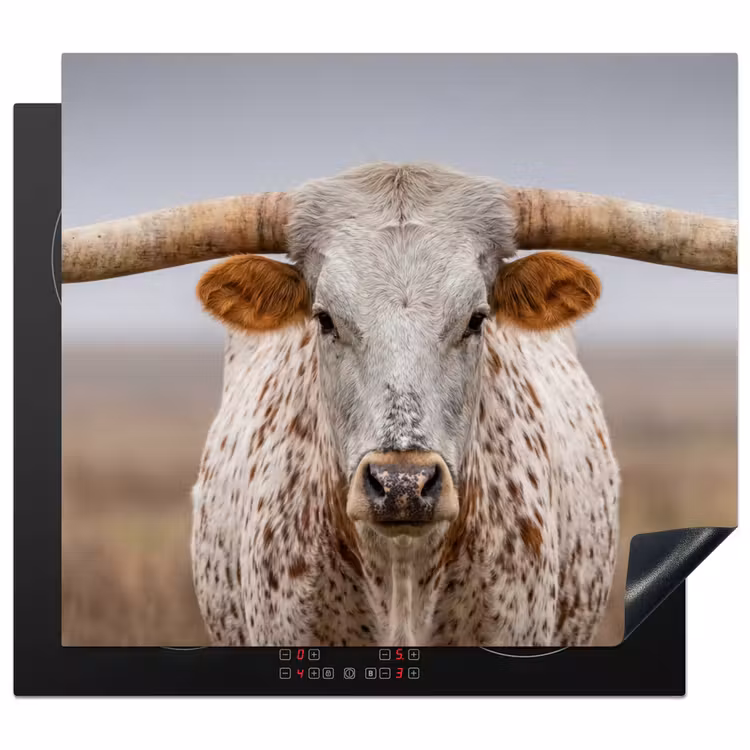 Inductie beschermer - Longhorn - Grasveld - Dier — 1