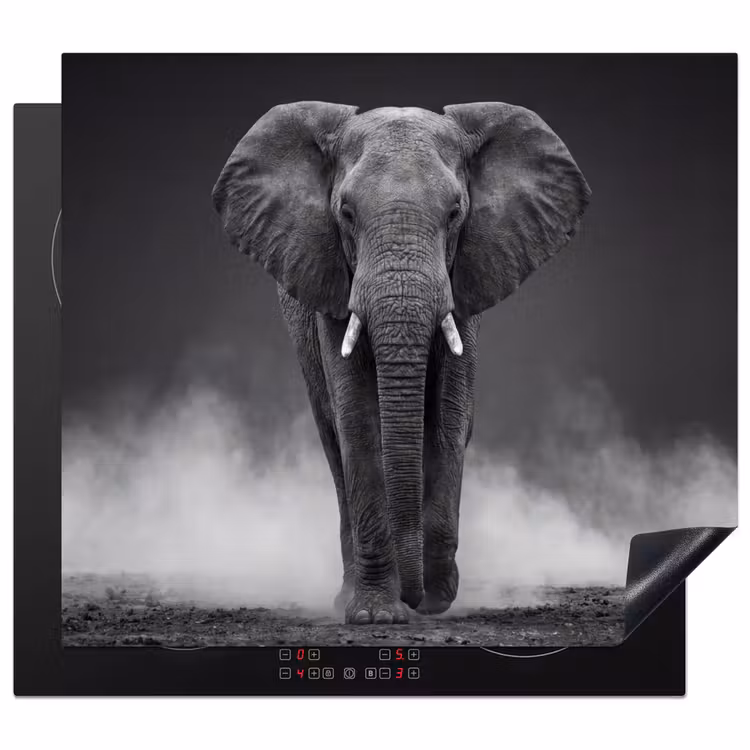 Inductie beschermer - Olifant - Zwart - Wit - Rook — 1