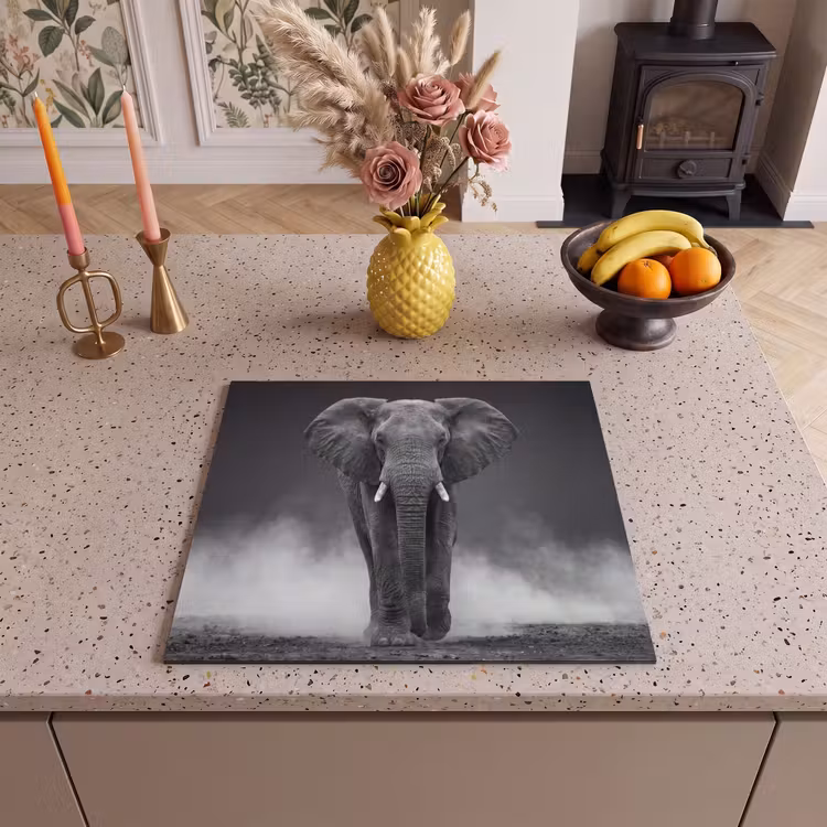 Inductie beschermer - Olifant - Zwart - Wit - Rook — 3