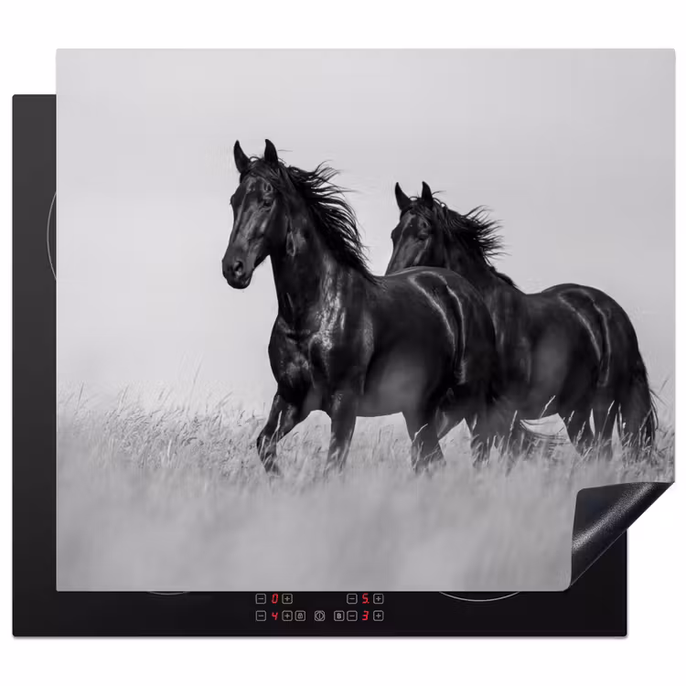 Inductie beschermer - Paarden - Gras - Zwart - Wit — 1