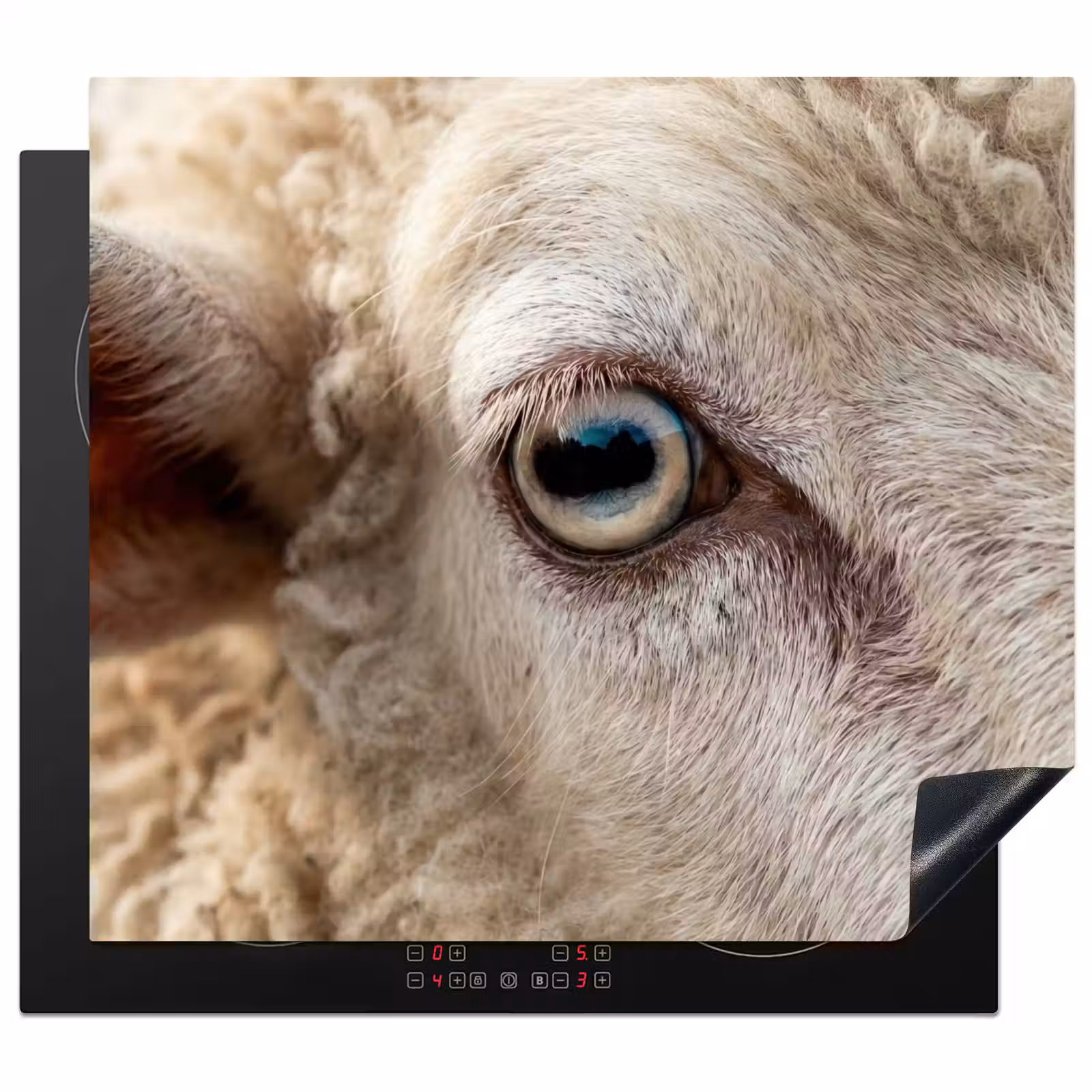 Inductie beschermer - Schaap - Oog - Wit — 1