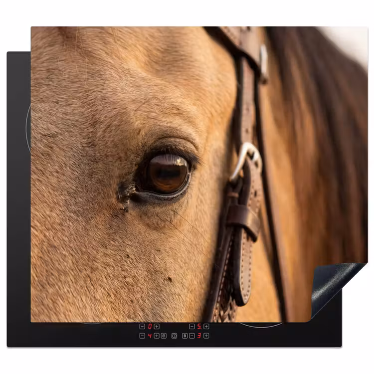 Inductie beschermer - Paard - Oog - Bruin — 1