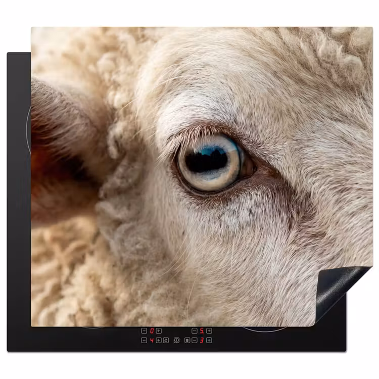 Inductie beschermer - Schaap - Oog - Wit — 1