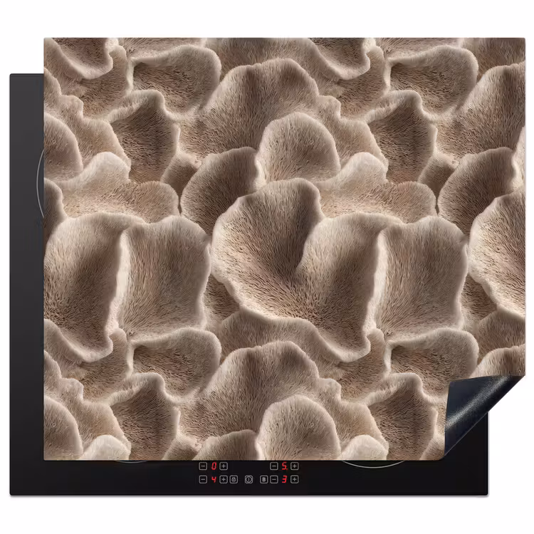 Inductie beschermer - Waaiervorm - Beige - Vezel textuur — 1