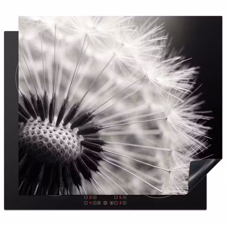 Inductie beschermer - Paardenbloem - Zwart - Wit — 1