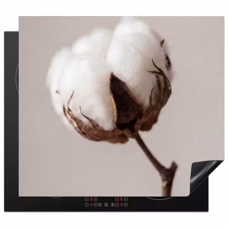 Inductie beschermer - Katoenbol - Minimalistisch - Wit — 1