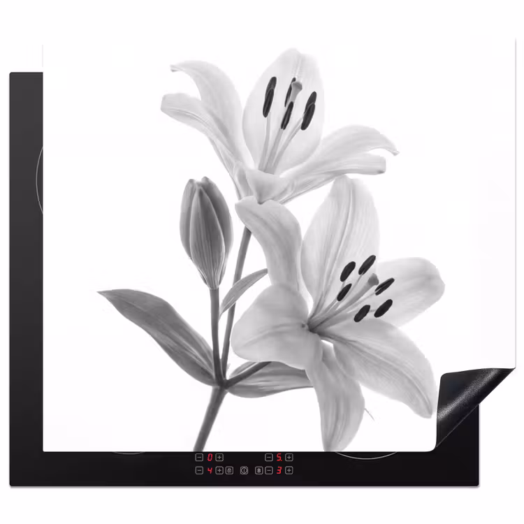 Inductie beschermer - Lelies - Elegant - Zwart - Wit — 1