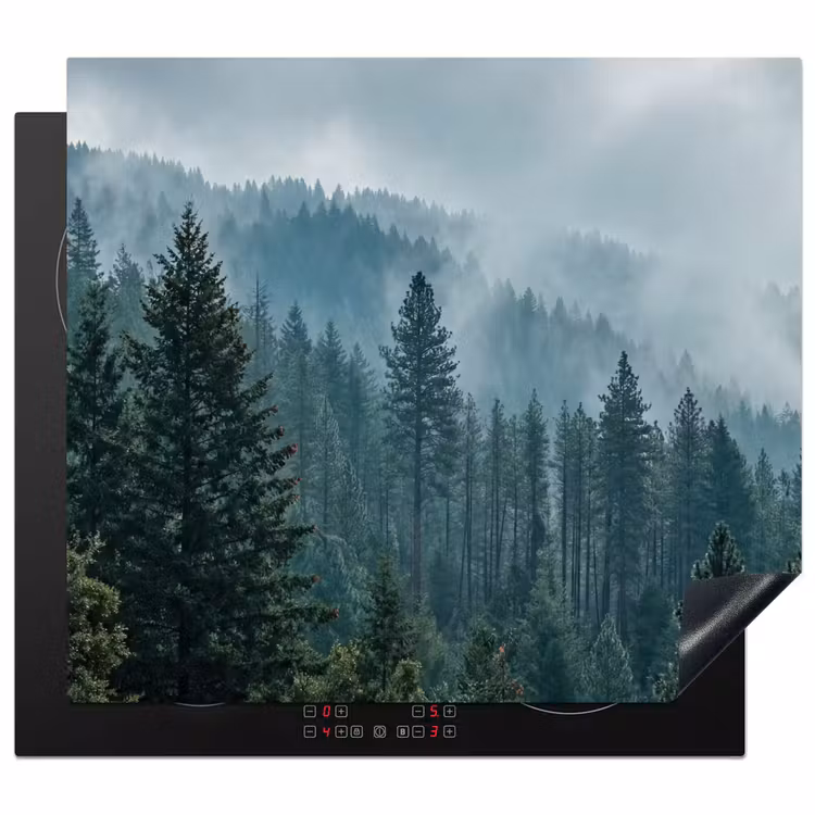 Inductie beschermer - Naaldwoud - Bergen - Mist — 1