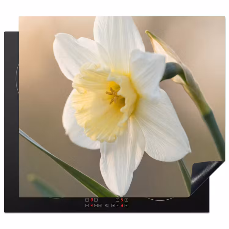 Inductie beschermer - Narcis - Bloem - Minimalistisch — 1