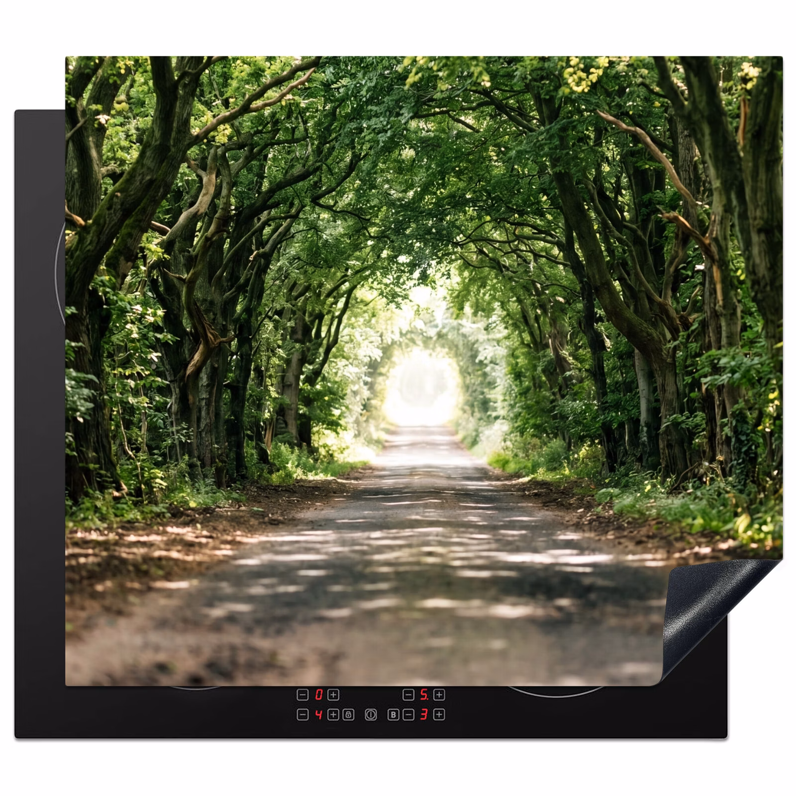 Inductie beschermer - Weg - Bomen - Natuur - Groen — 1