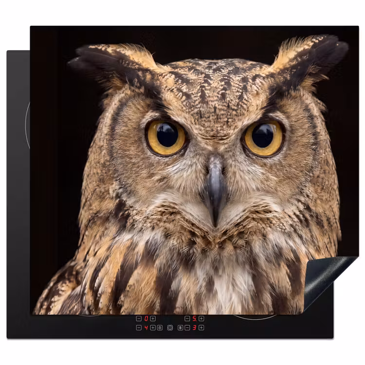 Inductie beschermer - Oehoe - Uil - Portret - Bruin — 1