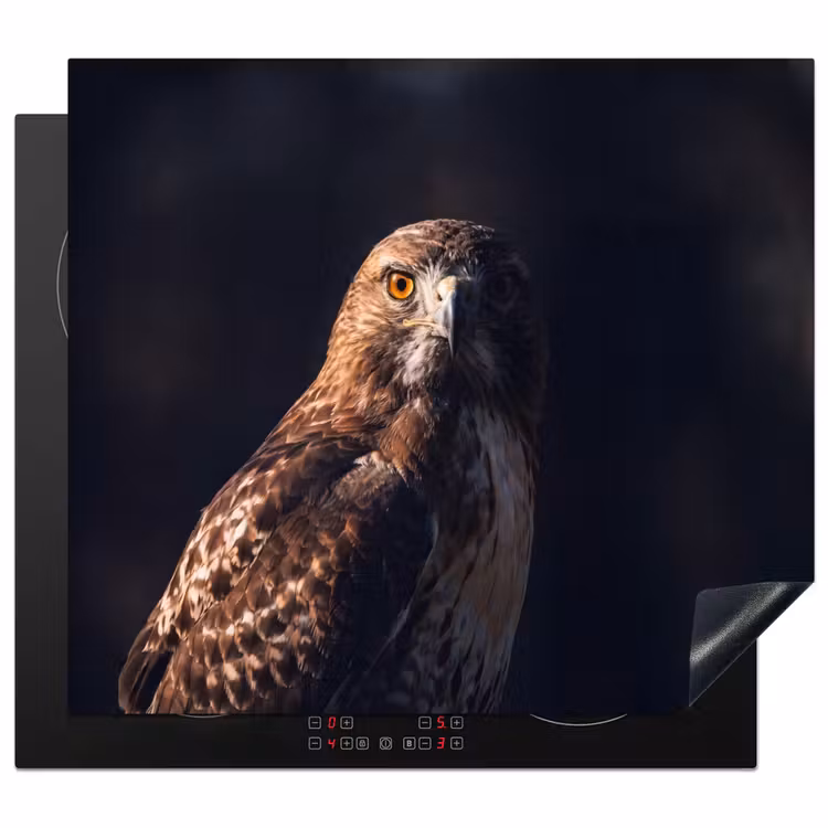 Inductie beschermer - Roofvogel - Buizerd - Bruin — 1