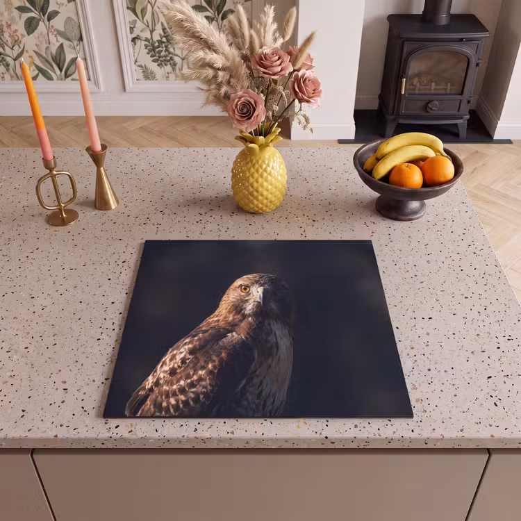 Inductie beschermer - Roofvogel - Buizerd - Bruin — 3