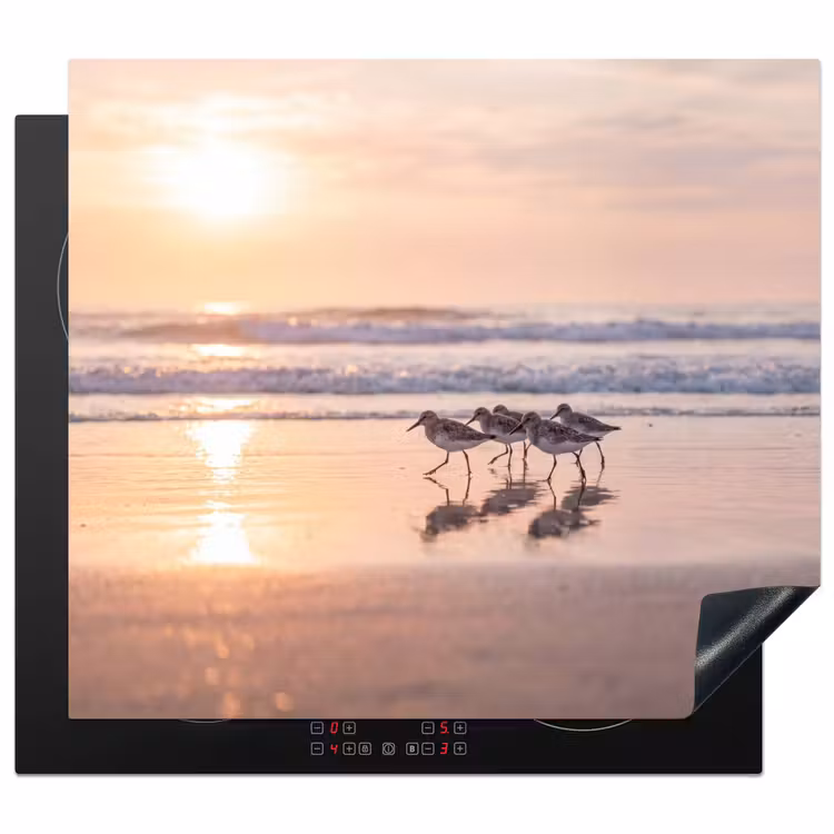 Inductie beschermer - Zee - Vogels - Strand — 1