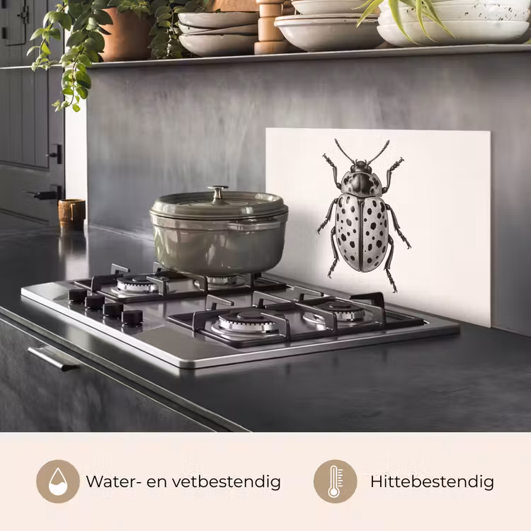 Spatscherm keuken - Kever - Insect - Vintage — 2