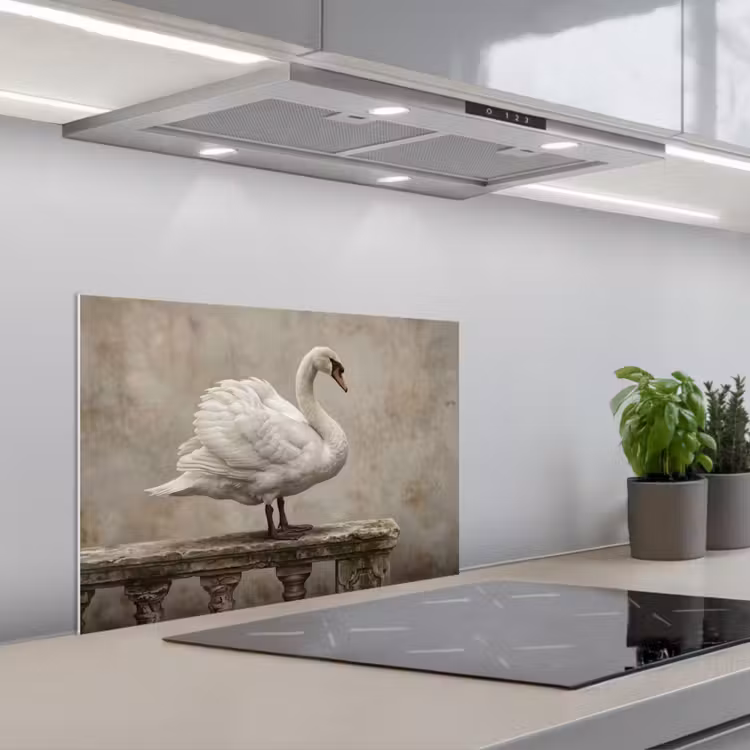 Spatscherm keuken - Zwaan - Elegant - Dieren - Wit — 1