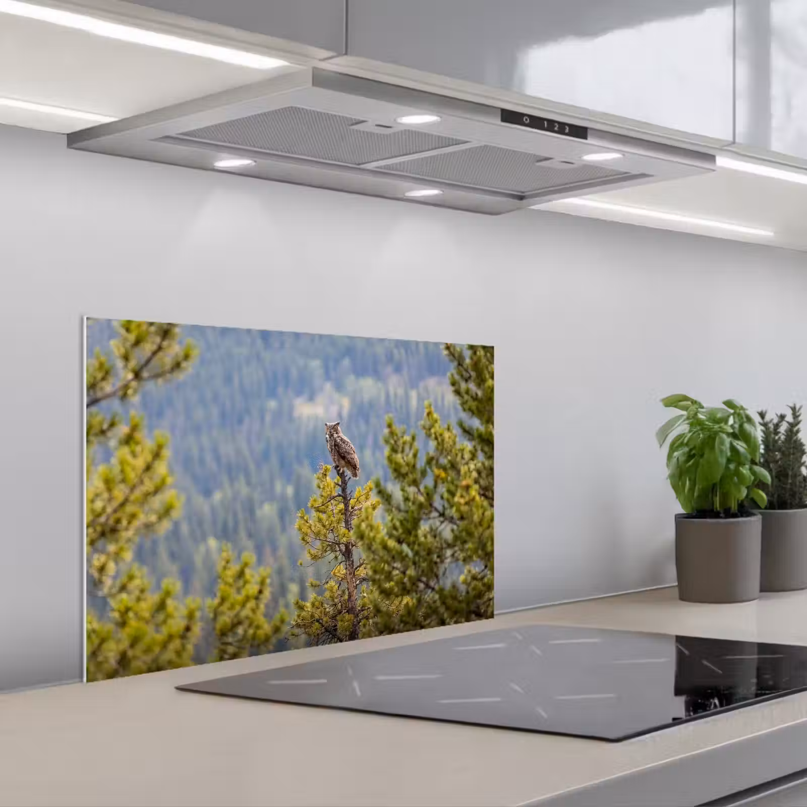 Spatscherm keuken - Uil - Oehoe - Bomen - Natuur — 1