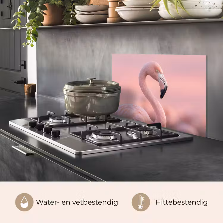 Spatscherm keuken - Flamingo - Portret - Roze — 2