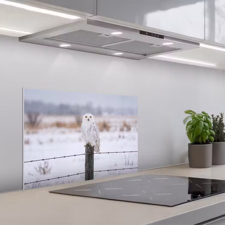 Spatscherm keuken - Sneeuwuil - Hek - Sneeuw - Wit — 1