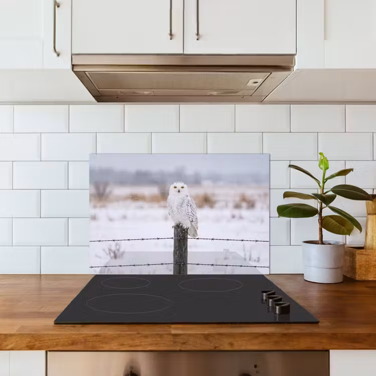 Spatscherm keuken - Sneeuwuil - Hek - Sneeuw - Wit — 3