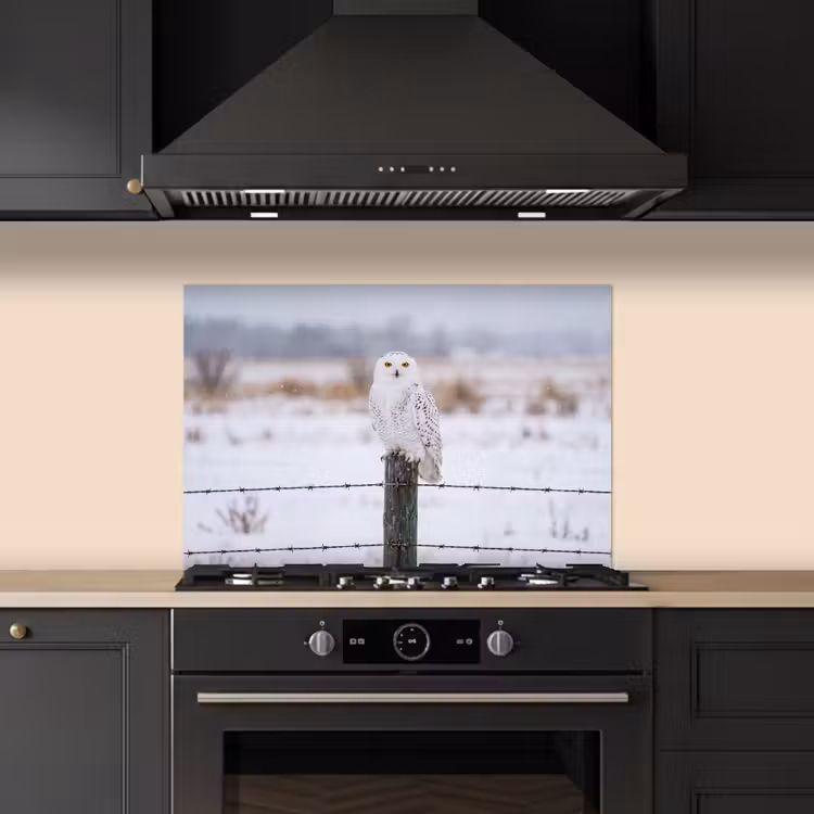 Spatscherm keuken - Sneeuwuil - Hek - Sneeuw - Wit — 5