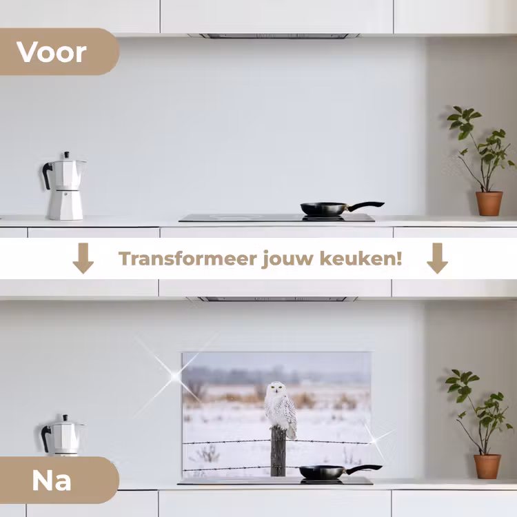Spatscherm keuken - Sneeuwuil - Hek - Sneeuw - Wit — 7