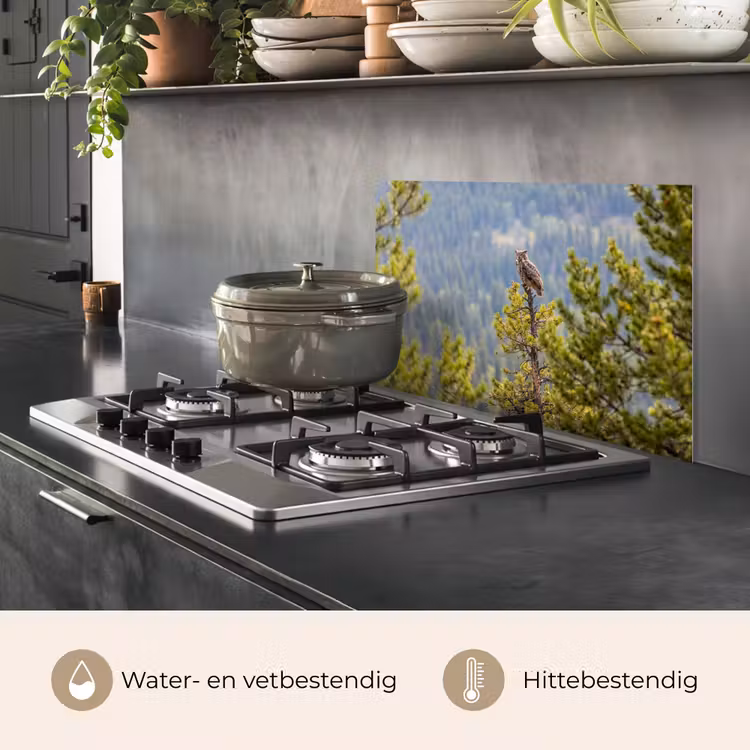 Spatscherm keuken - Uil - Oehoe - Bomen - Natuur — 2