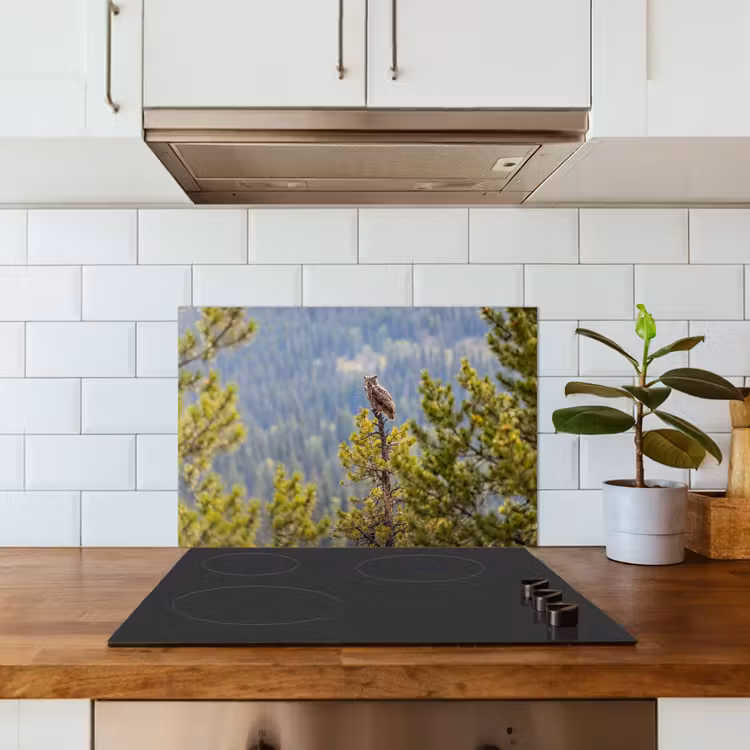 Spatscherm keuken - Uil - Oehoe - Bomen - Natuur — 3