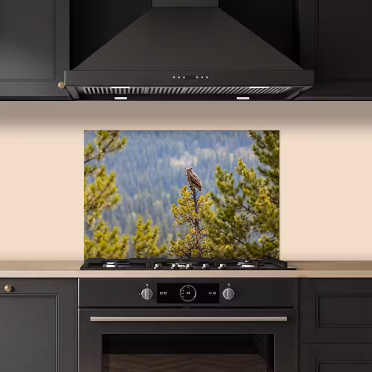 Spatscherm keuken - Uil - Oehoe - Bomen - Natuur — 5