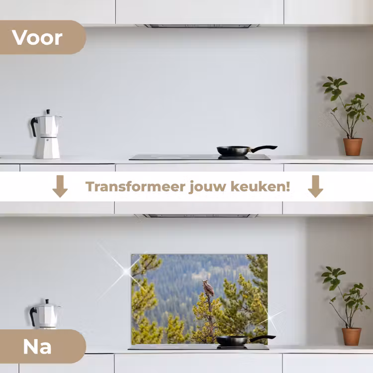 Spatscherm keuken - Uil - Oehoe - Bomen - Natuur — 7