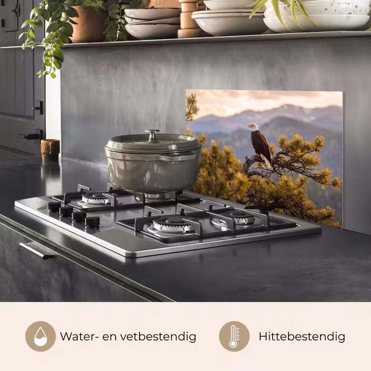 Spatscherm keuken - Zeearend - Boom - Bergen - Groen — 2