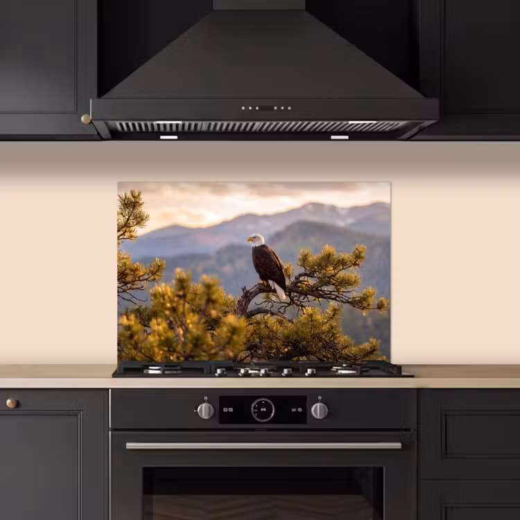Spatscherm keuken - Zeearend - Boom - Bergen - Groen — 5