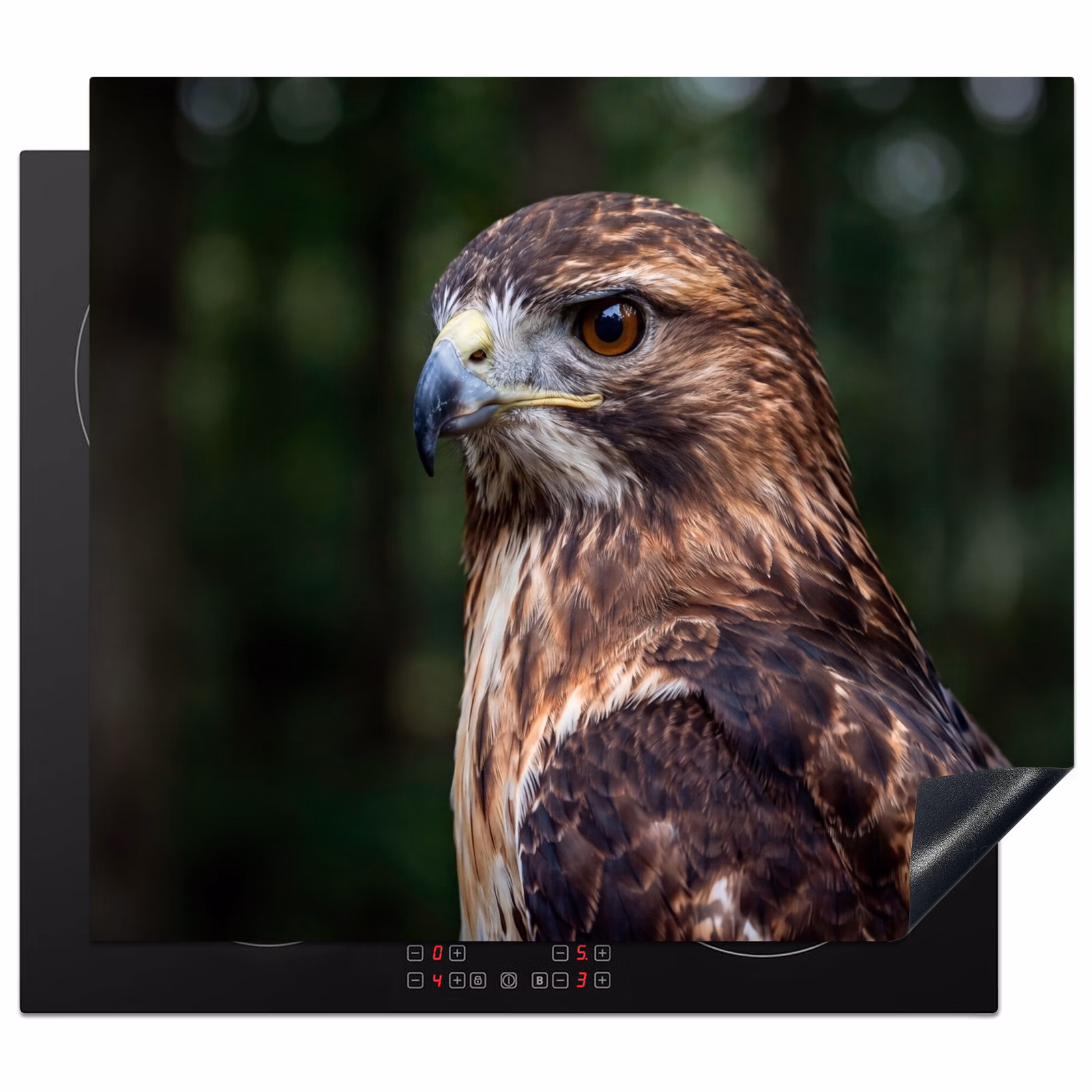 Inductie beschermer - Buizerd - Roofvogel - Natuur - Bruin — 1