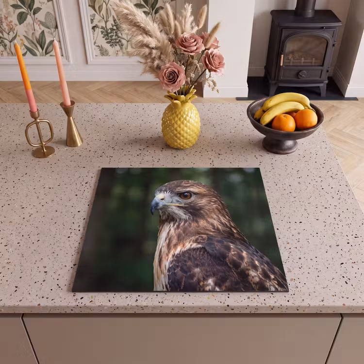 Inductie beschermer - Buizerd - Roofvogel - Natuur - Bruin — 3