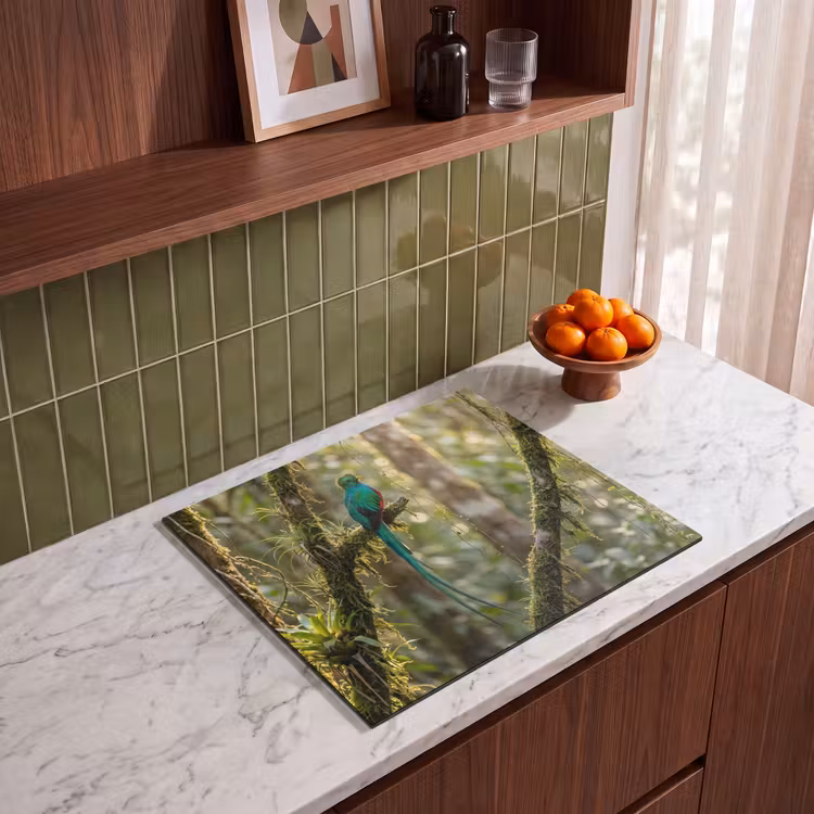 Inductie beschermer - Quetzal - Jungle - Natuur - Groen — 4