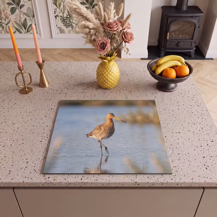 Inductie beschermer - Vogel - Steltloper - Water - Natuur — 3