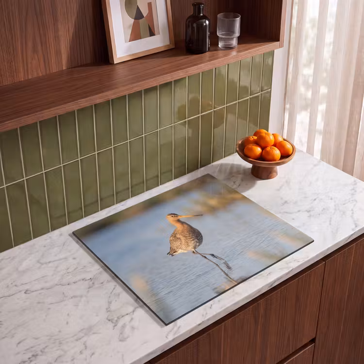 Inductie beschermer - Vogel - Steltloper - Water - Natuur — 4