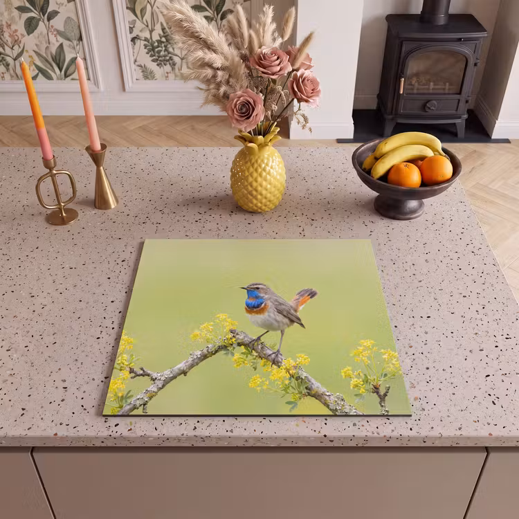 Inductie beschermer - Vogel - Tak - Natuur - Kleurrijk — 3