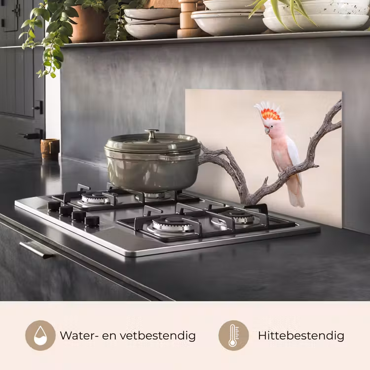 Spatscherm keuken - Papagaai - Tak - Roze — 2