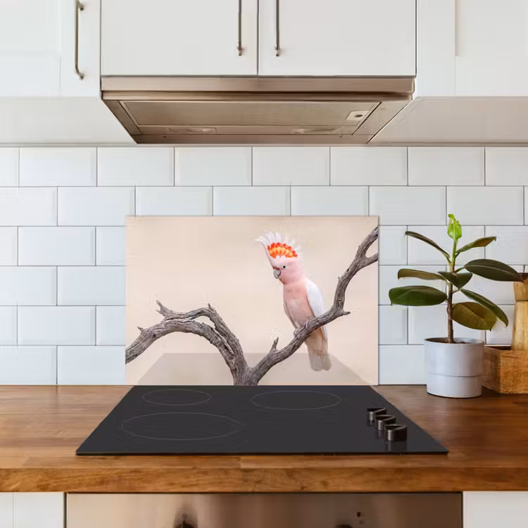 Spatscherm keuken - Papagaai - Tak - Roze — 3
