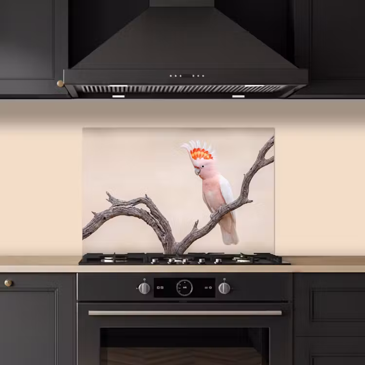 Spatscherm keuken - Papagaai - Tak - Roze — 5
