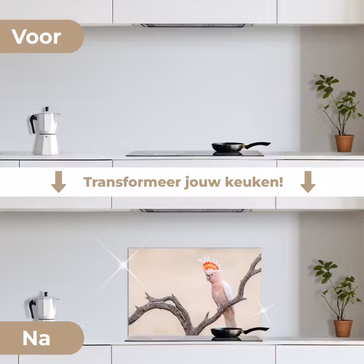 Spatscherm keuken - Papagaai - Tak - Roze — 7