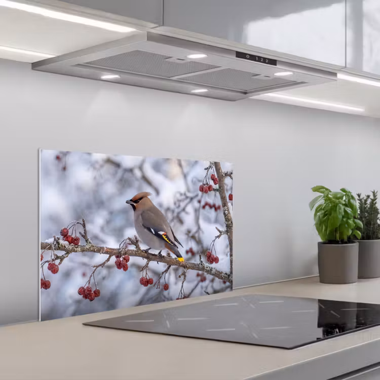 Spatscherm keuken - Pestvogel - Bessen - Winter - Natuur — 1
