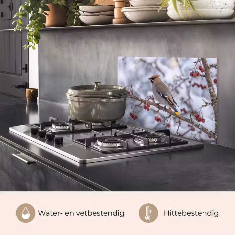 Spatscherm keuken - Pestvogel - Bessen - Winter - Natuur — 2