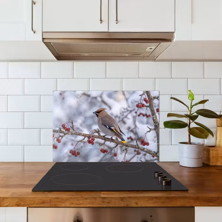 Spatscherm keuken - Pestvogel - Bessen - Winter - Natuur — 3