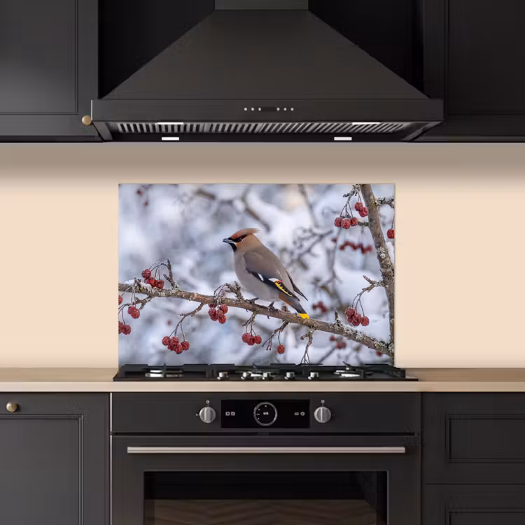 Spatscherm keuken - Pestvogel - Bessen - Winter - Natuur — 5