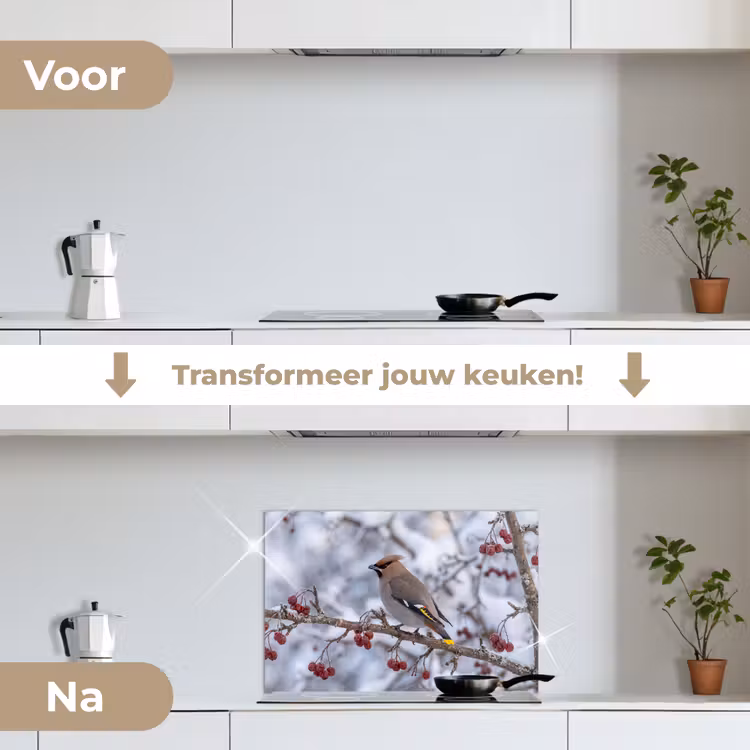Spatscherm keuken - Pestvogel - Bessen - Winter - Natuur — 7