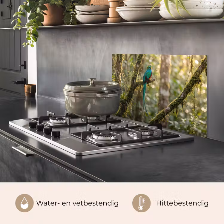 Spatscherm keuken - Quetzal - Jungle - Natuur - Groen — 2